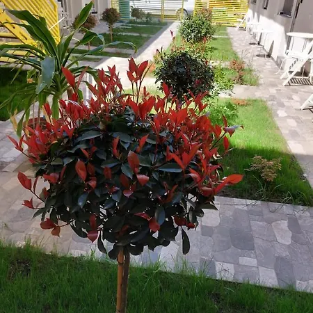 Casa Maria 3* 旧瓦马