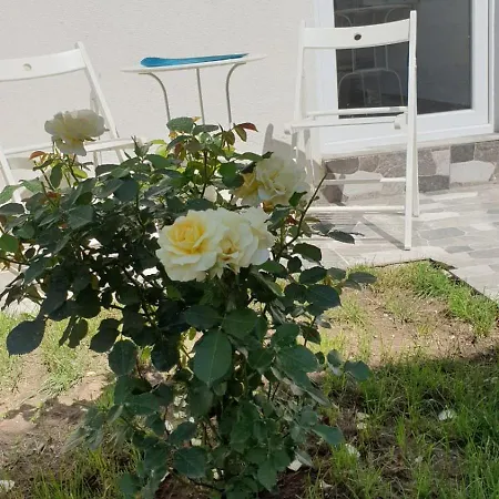Casa Maria 3*